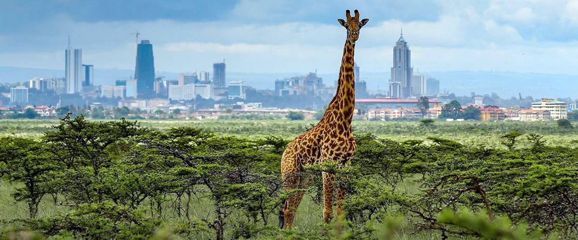 Nairobi City