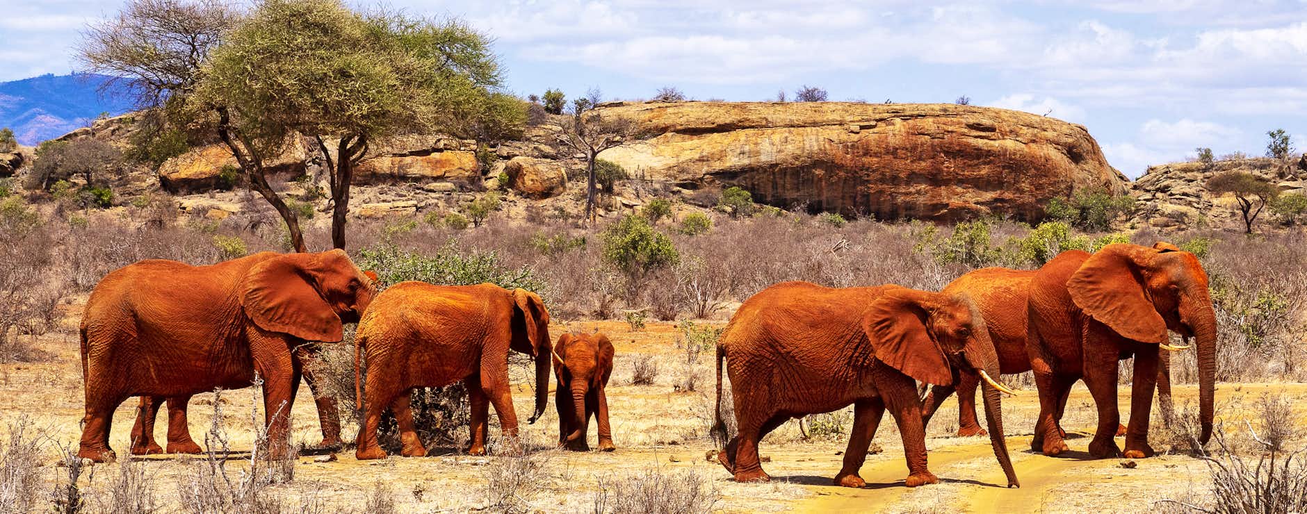 Tsavo National Park (East & West)