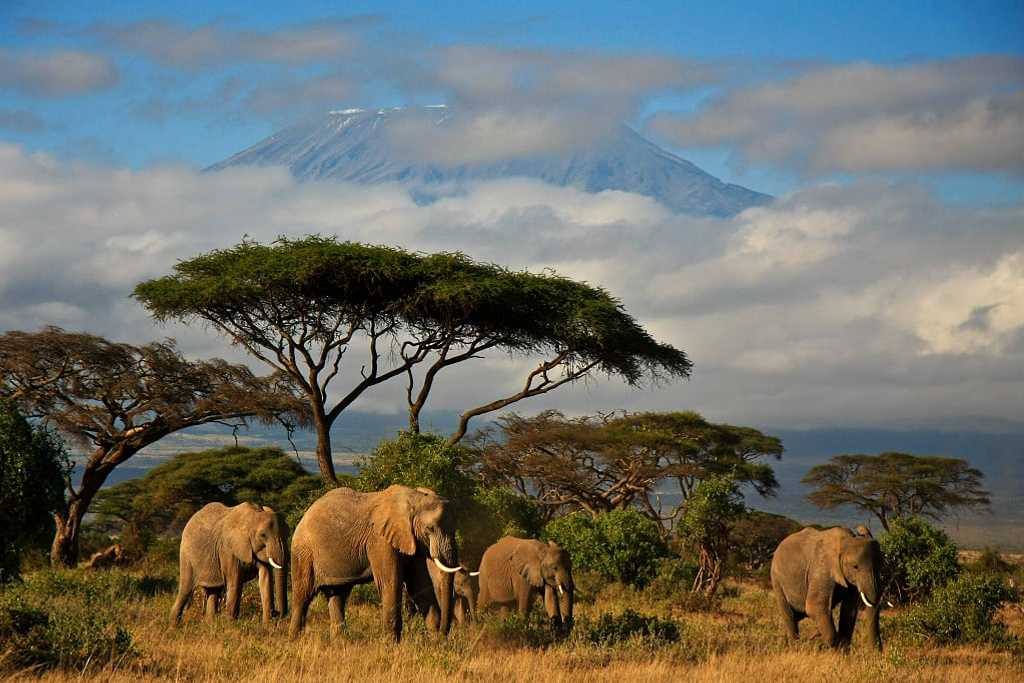 Amboseli